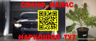 PSILOCYBIN Новозыбков