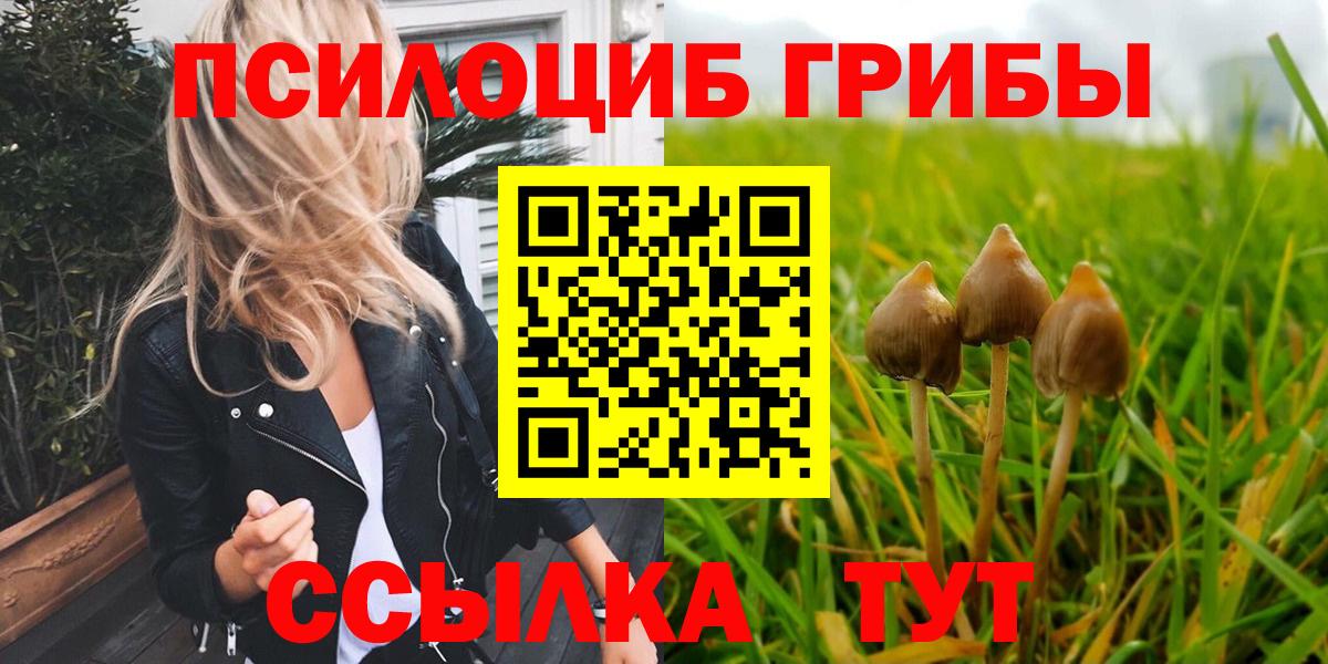 Псилоцибиновые грибы Cubensis Аргун